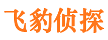 湘阴侦探公司